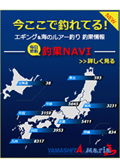 މNAVI