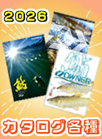 �J�^���O�e��