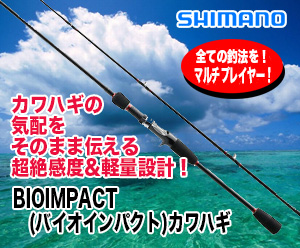 Amazon | シマノ(SHIMANO) カワハギ仕掛け 楽々セット 吸わせ力