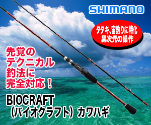 船ロッド 数量限定在庫処分市
