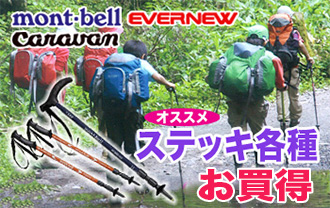 �X�e�b�L�e��