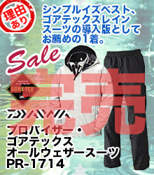 レイン トップページ レイン トップページ