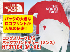 ノースフェイス 【※2013年末】ロングスリーブL/S バックプリントティー(メンズ) NT37104【YT】