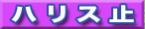 刼W d| nX~ 