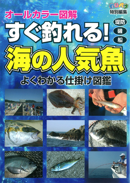 書籍 Dvd ハウツー本 ハウツー本 すぐ釣れる 海の人気魚 よくわかる仕掛け図鑑