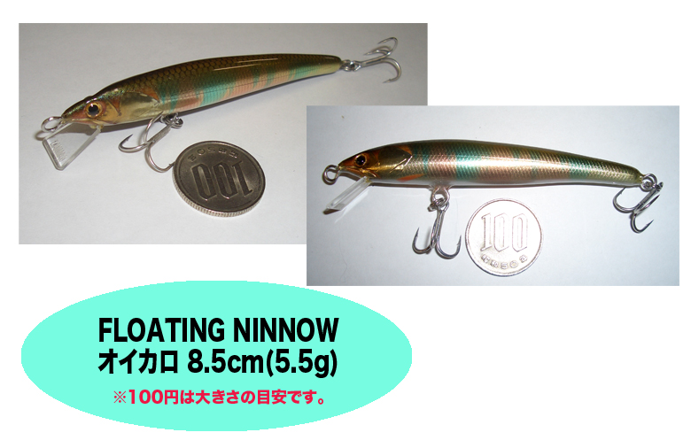 Floating ~m[@ICJ@8.5cm