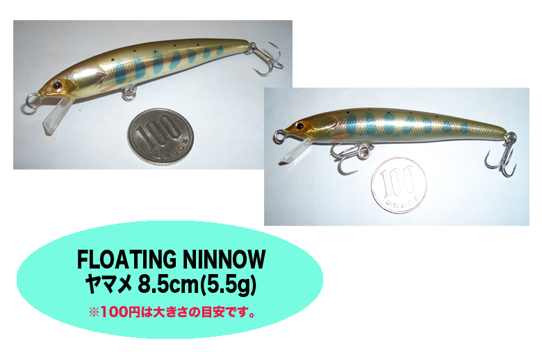 Floating ~m[@}@8.5cm