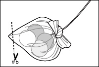 J[vPVAobO