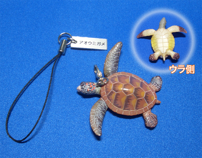 珍品 海亀 ウミガメ 繊細 剥製のようなリアルな陶器 アンティーク 陶芸