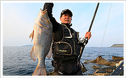 磯/磯釣り/磯ロッド（シマノ）/翔 石鯛［はばたき いしだい］