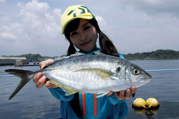 磯/磯釣り/磯ロッド（ダイワ）/クラブブルーキャビン 海上釣堀 さぐり